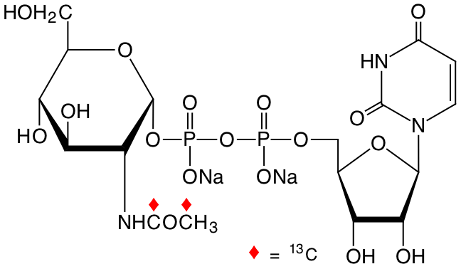 structure of UDP-alpha-N-[1,2-13C2]acetyl-D-glucosamine