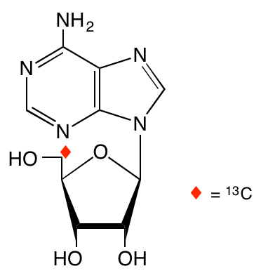 structure of [5'-13C]adenosine