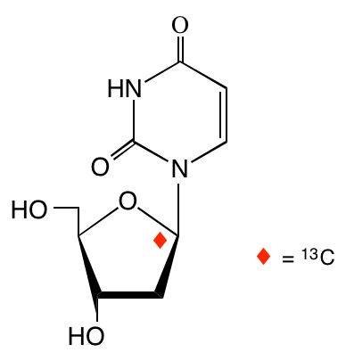structure of [1'-13C]2'-deoxyuridine
