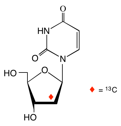 structure of [2'-13C]2'-deoxyuridine
