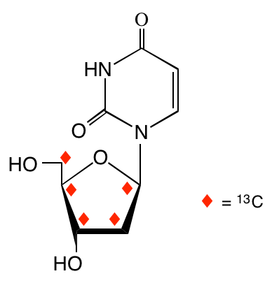 structure of [1',2',3',4',5'-13C5]2'-deoxyuridine