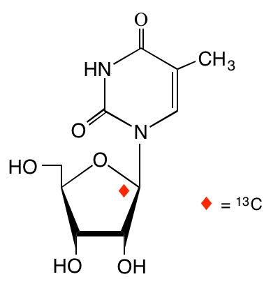 structure of [1'-13C]ribothymidine