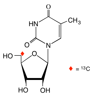 structure of [5'-13C]ribothymidine