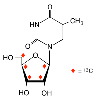 structure of [1',2',3',4',5'-13C5]ribothymidine