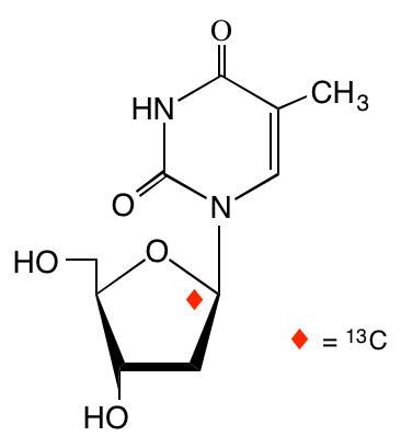 structure of [1'-13C]thymidine