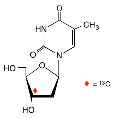 structure of [3'-13C]thymidine