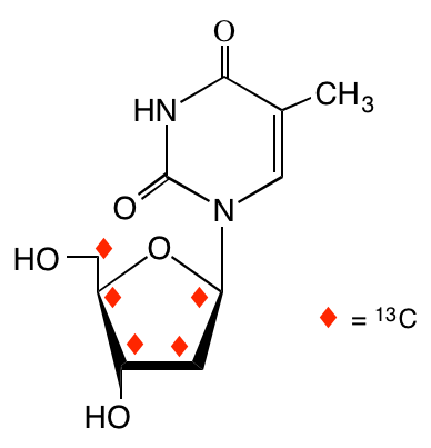 structure of [1',2',3',4',5'-13C5]thymidine