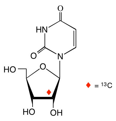 structure of [2'-13C]uridine