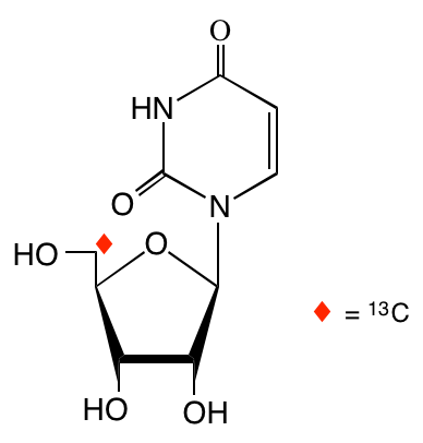 structure of [5'-13C]uridine