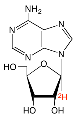 structure of [1'-2H]adenosine