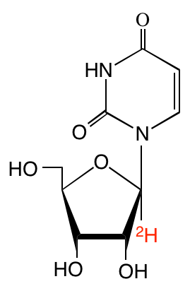 structure of [1'-2H]uridine