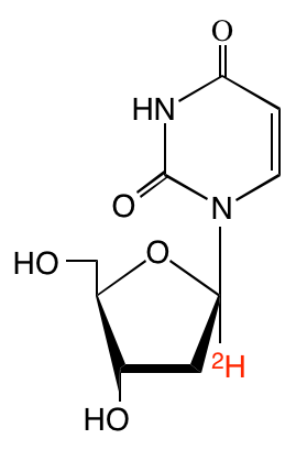 structure of [1'-2H]2'-deoxyuridine