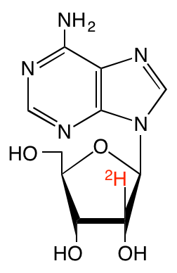 structure of [2'-2H]adenosine