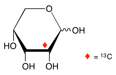 structure of D-[2-13C]ribose