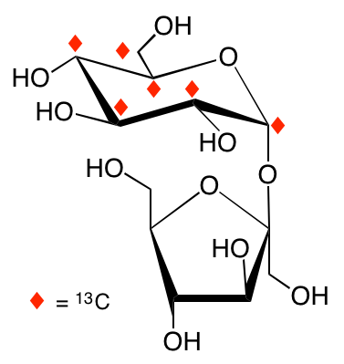 structure of [U-13C6glc]sucrose