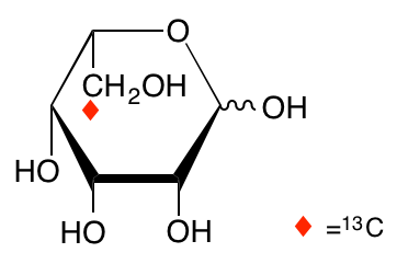 structure of L-[6-13C]talose