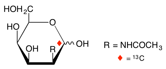 structure of N-acetyl-D-[1-13C]talosamine