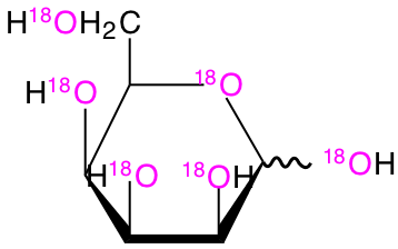 structure of D-[UL-18O6]talose