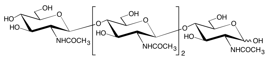 structure of tetraacetyl chito tetraose