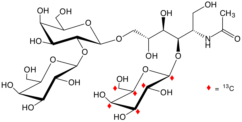 structure of Galp-b2-Galp-b6-(U-13C6-Galp-b3)-GlcNAcitol