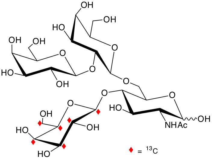 structure of Galp-b2-Galp-b6-(U-13C6-Galp-b4)-GlcNAc