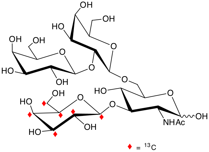 structure of Galp-b2-Galp-b6-(U-13C6-Galp-b3)-GlcNAc