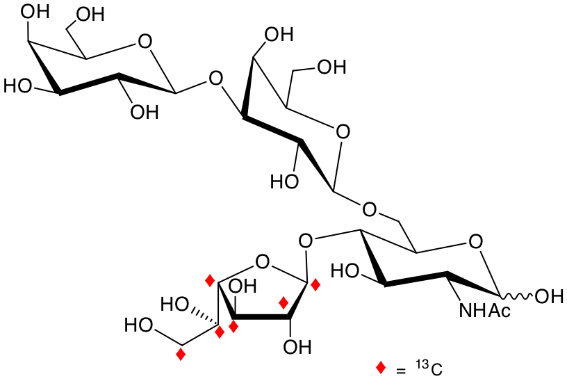 structure of Galp-b3-Galp-b6-(U-13C6-Galf-b4)-GlcNAc