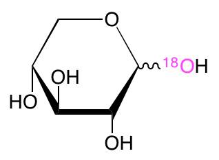 structure of D-[1-18O]xylose