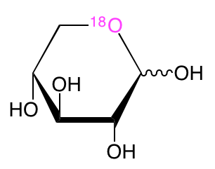 structure of D-[5-18O]xylose